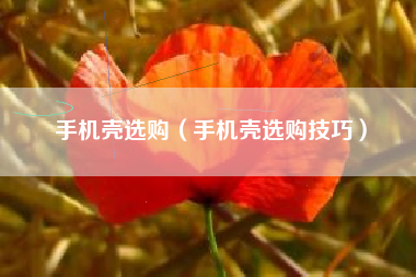 手机壳选购（手机壳选购技巧）