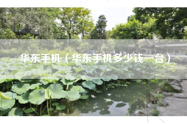 华东手机（华东手机多少钱一台）