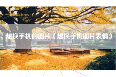 想换手机的图片（想换手机图片表情）