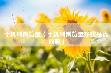 手机刷浏览量（手机刷浏览量挣钱是真的吗）