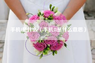 手机f是什么（手机f8是什么意思）