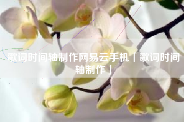 歌词时间轴制作网易云手机「歌词时间轴制作」