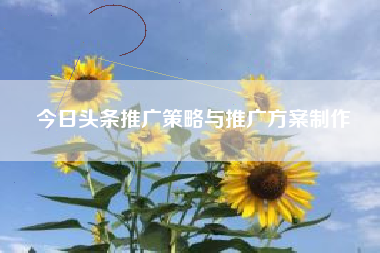 今日头条推广策略与推广方案制作
